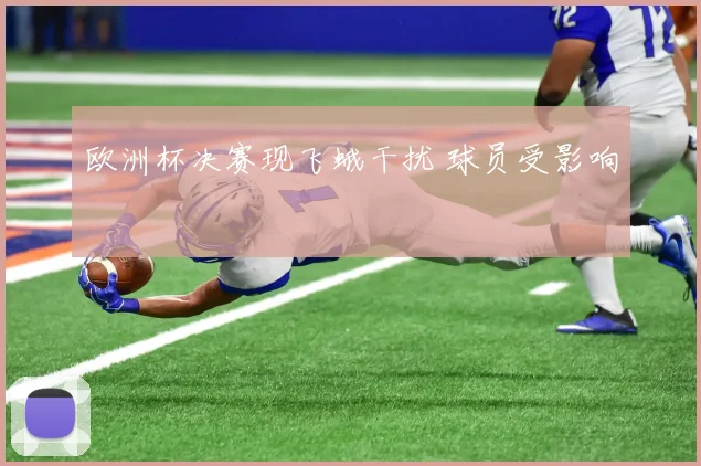 欧洲杯决赛现飞蛾干扰 球员受影响