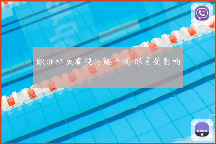 欧洲杯决赛现飞蛾干扰 球员受影响