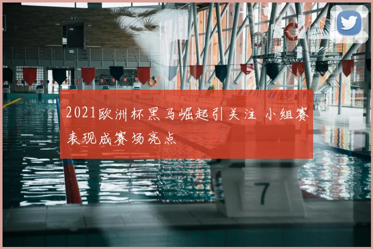 2021欧洲杯黑马崛起引关注 小组赛表现成赛场亮点
