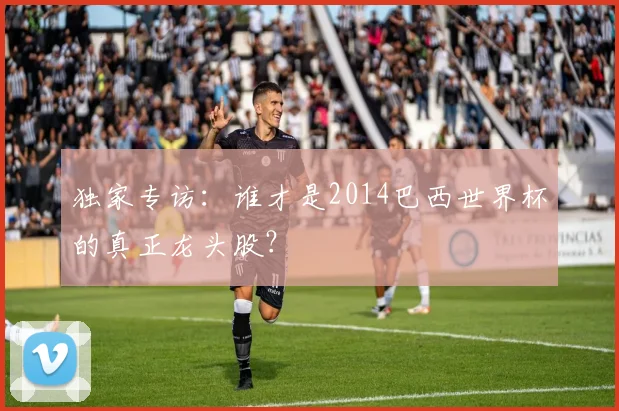 独家专访：谁才是2014巴西世界杯的真正龙头股？