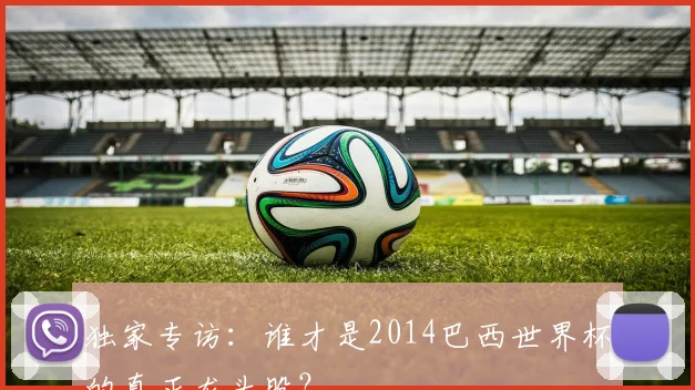 独家专访：谁才是2014巴西世界杯的真正龙头股？