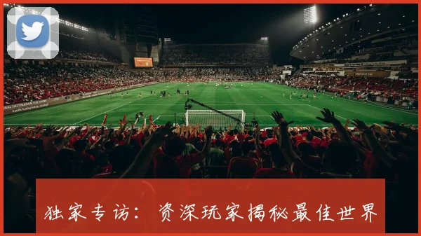独家专访：资深玩家揭秘最佳世界杯投注平台