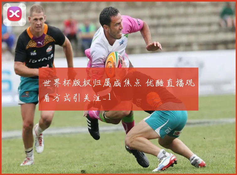 世界杯版权归属成焦点 优酷直播观看方式引关注_1