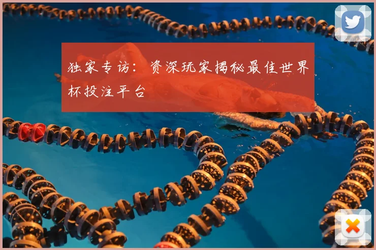 独家专访：资深玩家揭秘最佳世界杯投注平台